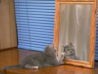 cat_0194.jpg