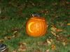 DSC00600.JPG