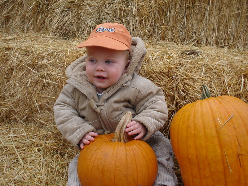 DSC02286.JPG