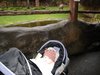 DSC01059.JPG