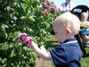 DSC02065.JPG