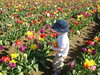 DSC02681.JPG