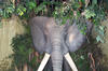 DCP_1194.JPG