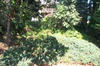 DCP_0769-med.JPG