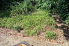 DCP_0770-med.JPG