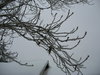 IMG_3658.JPG
