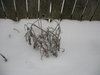 IMG_3718.JPG