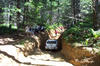 DCP_1824-med.JPG