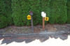 DCP_1774-med.JPG