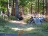 DSCF0011.jpg