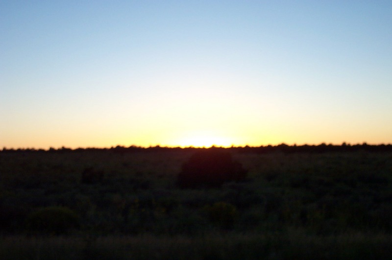 DCP_1020.JPG